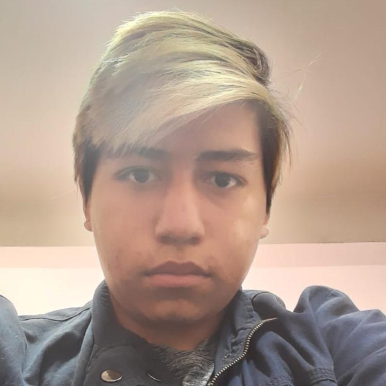 User Image