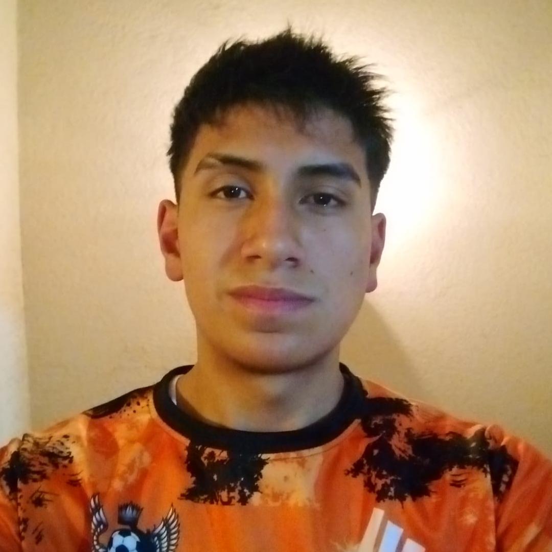 User Image