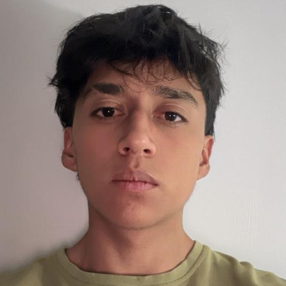 User Image