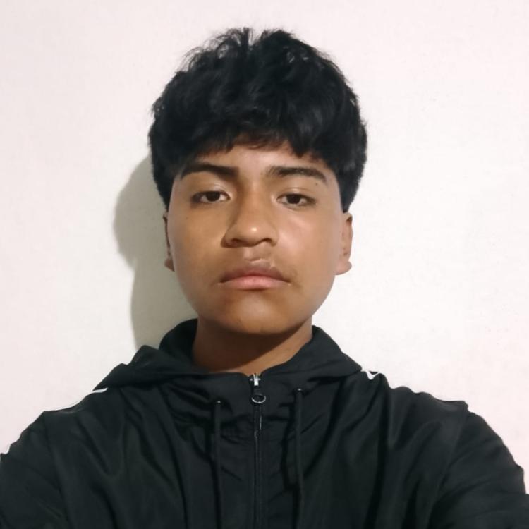 User Image